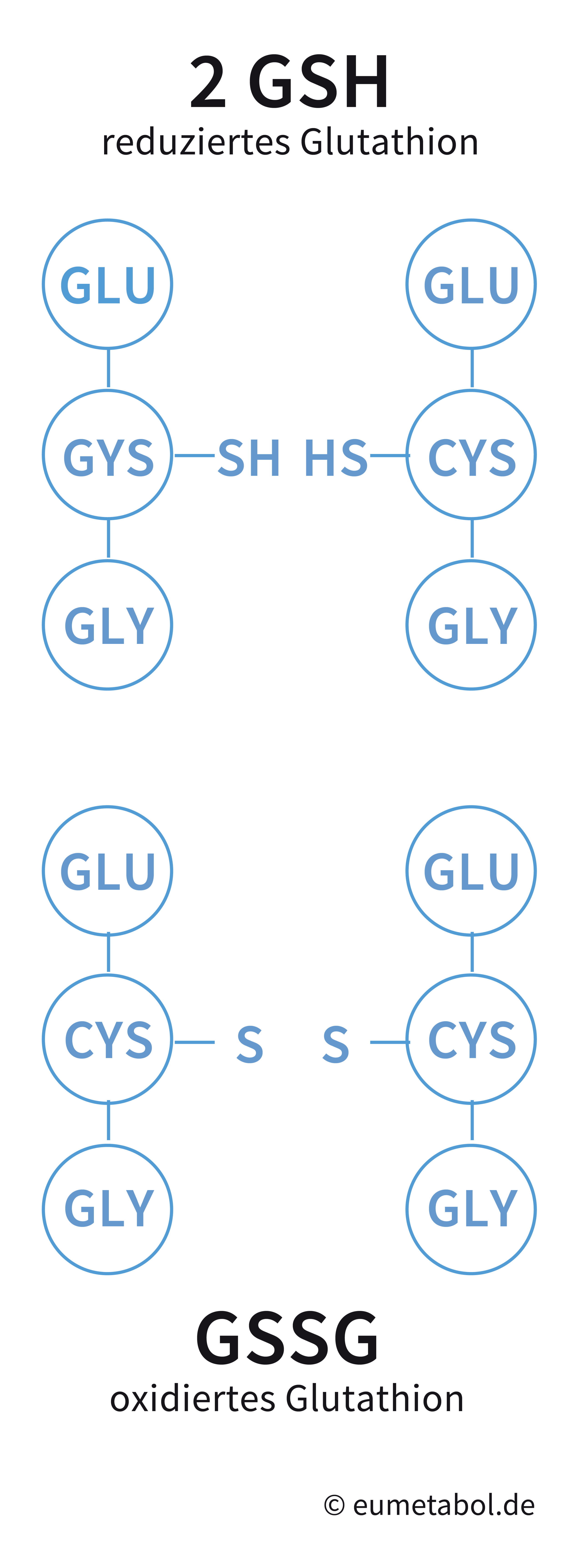 Glutathion Strukturformel